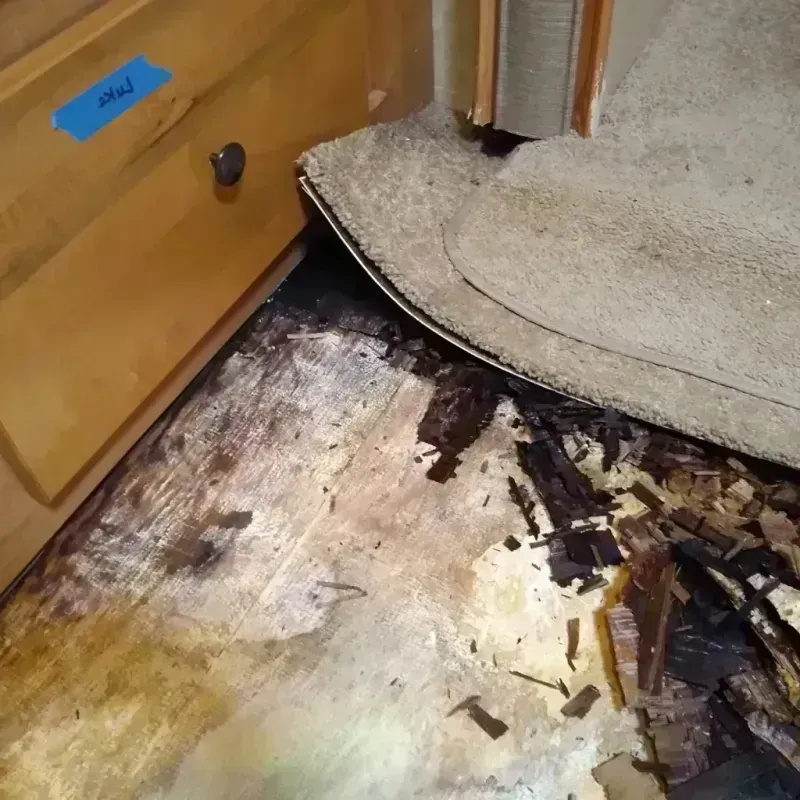 Wood Floor Water Damage in Bridgewater, NJ